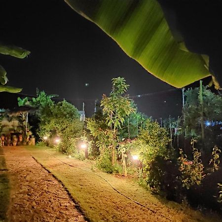 Guesthouse Vila Druri Dhermi Bagian luar foto