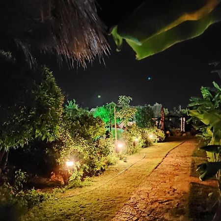 Guesthouse Vila Druri Dhermi Bagian luar foto