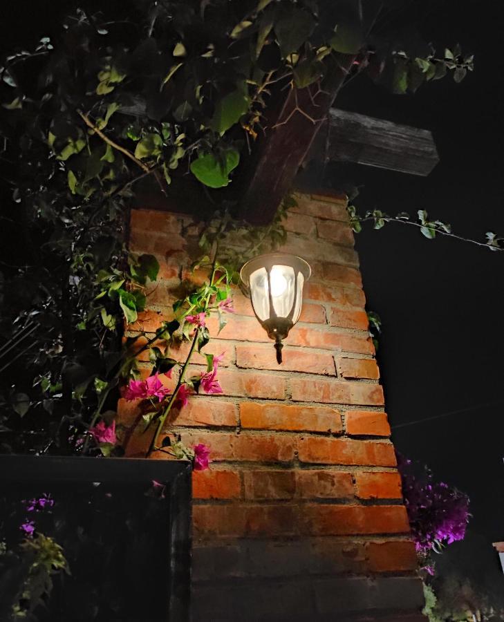 Guesthouse Vila Druri Dhermi Bagian luar foto
