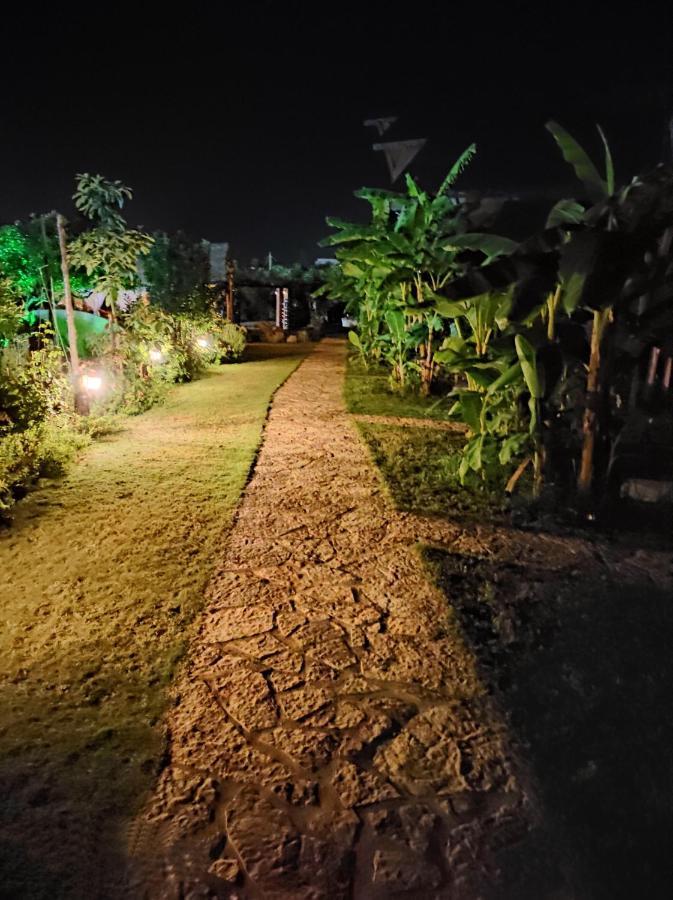 Guesthouse Vila Druri Dhermi Bagian luar foto