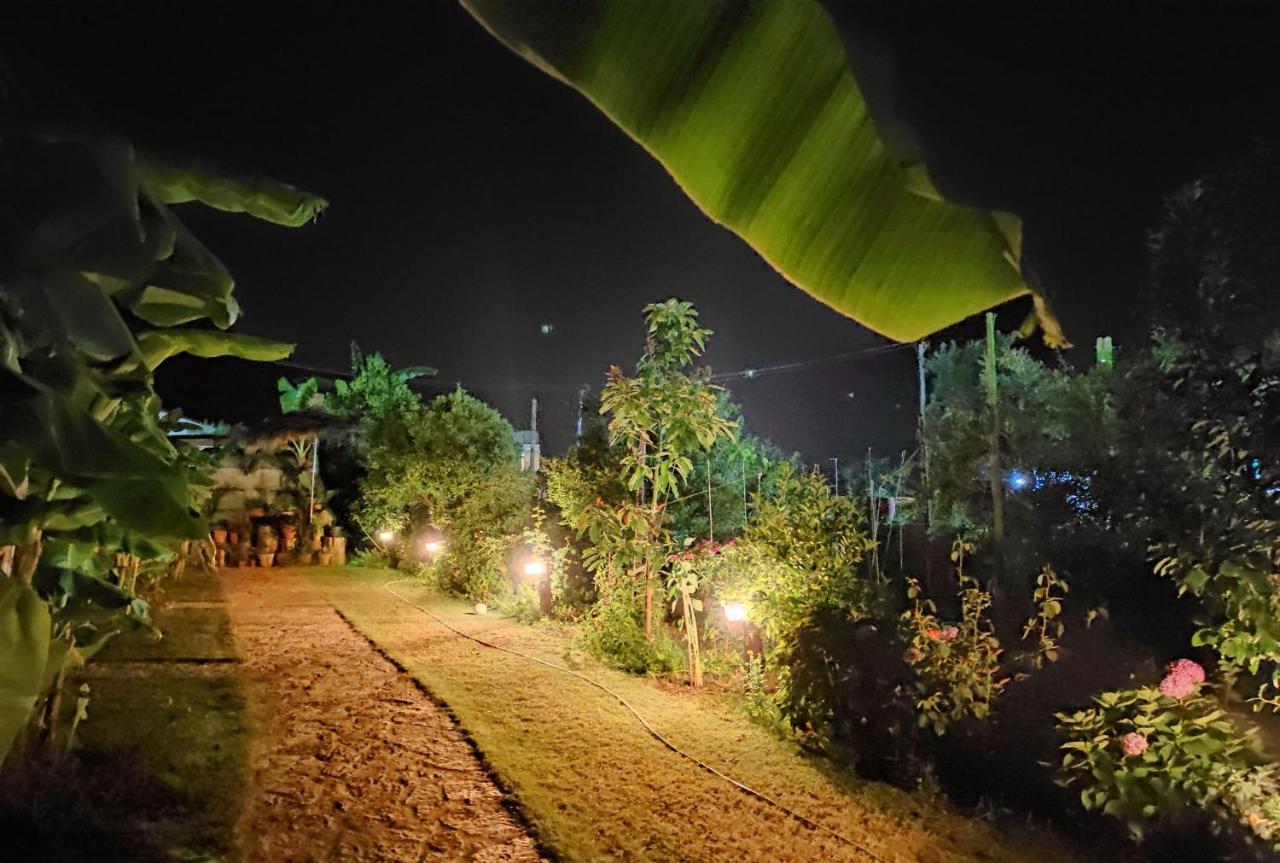 Guesthouse Vila Druri Dhermi Bagian luar foto