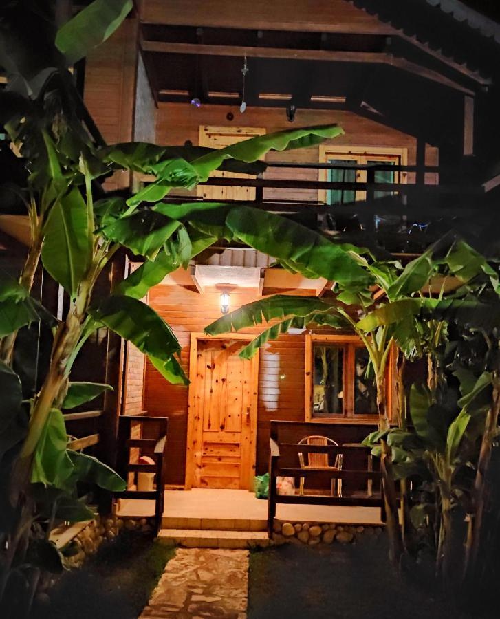 Guesthouse Vila Druri Dhermi Bagian luar foto