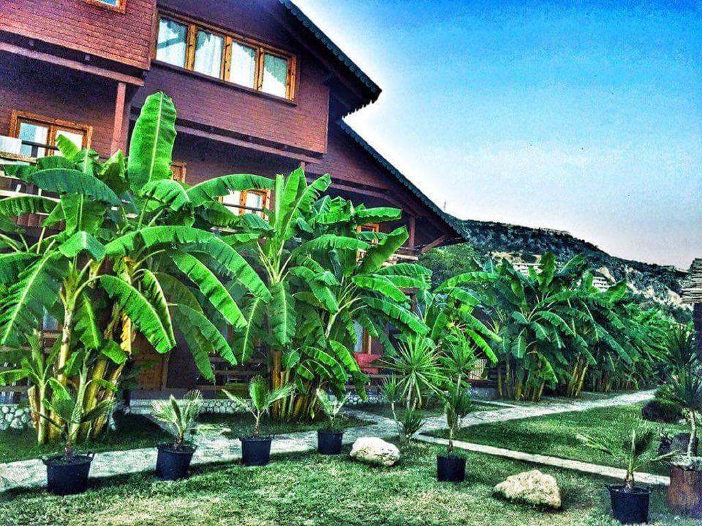 Guesthouse Vila Druri Dhermi Bagian luar foto